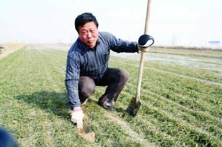 pp電子通化市柳河縣抽風(fēng)機(jī)找哪家高檔的(圖2)